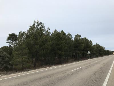 Segovia, Castilla Y León 40200, Spanien