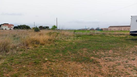 Tarragona, Cataluña/Catalunya 43810, İspanya