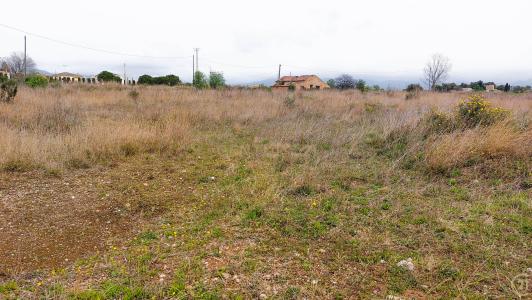 Tarragona, Cataluña/Catalunya 43810, İspanya