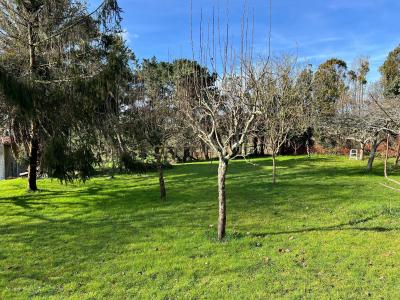 Cantabria, Cantabria 39360, Spain