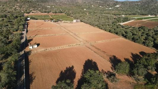 Tarragona, Cataluña/Catalunya 43540, Spain