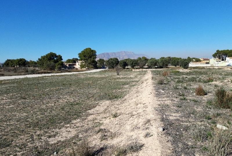 Alacant/Alicante, Comunitat Valenciana 03679, España