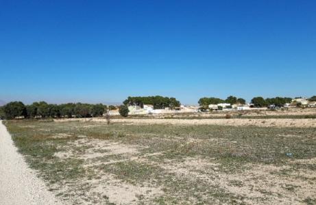 Alacant/Alicante, Comunitat Valenciana 03679, España