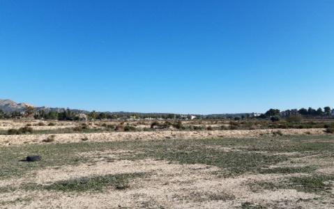 Alacant/Alicante, Comunitat Valenciana 03679, España