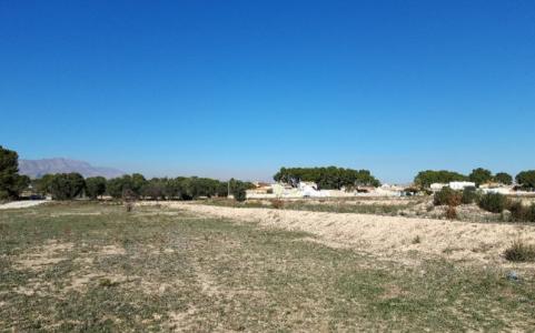 Alacant/Alicante, Comunitat Valenciana 03679, España