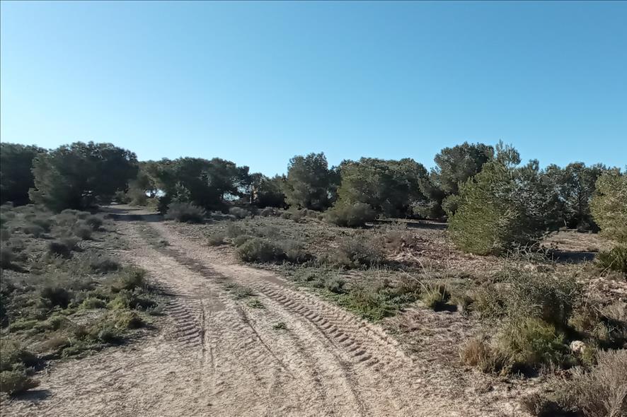 Alacant/Alicante, Comunitat Valenciana 03187, 西班牙