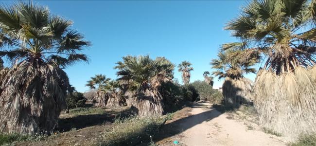 Alacant/Alicante, Comunitat Valenciana 03187, 西班牙