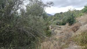 Alacant/Alicante, Comunitat Valenciana 3509, Espagne