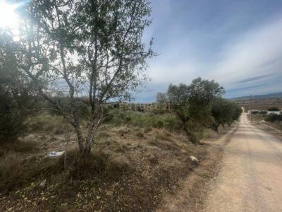 Barcelona, Cataluña/Catalunya 08720, Spain