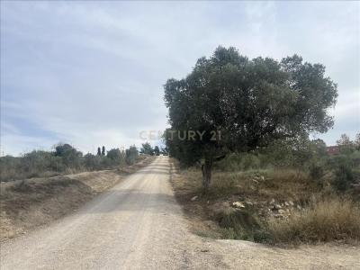 ברצלונה, Cataluña/Catalunya 08720, ספרד