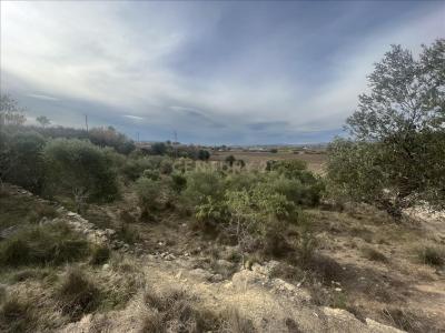 ברצלונה, Cataluña/Catalunya 08720, ספרד