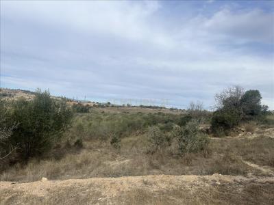 ברצלונה, Cataluña/Catalunya 08720, ספרד