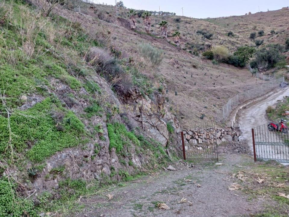 Malaga, Andalucía 29150, Spain