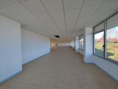 Bizkaia, País Vasco/Euskadi 48950, España