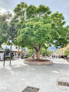 Málaga, Andalucía 29631, España