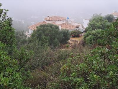 Alacant/Alicante, Comunitat Valenciana 03789, Spain