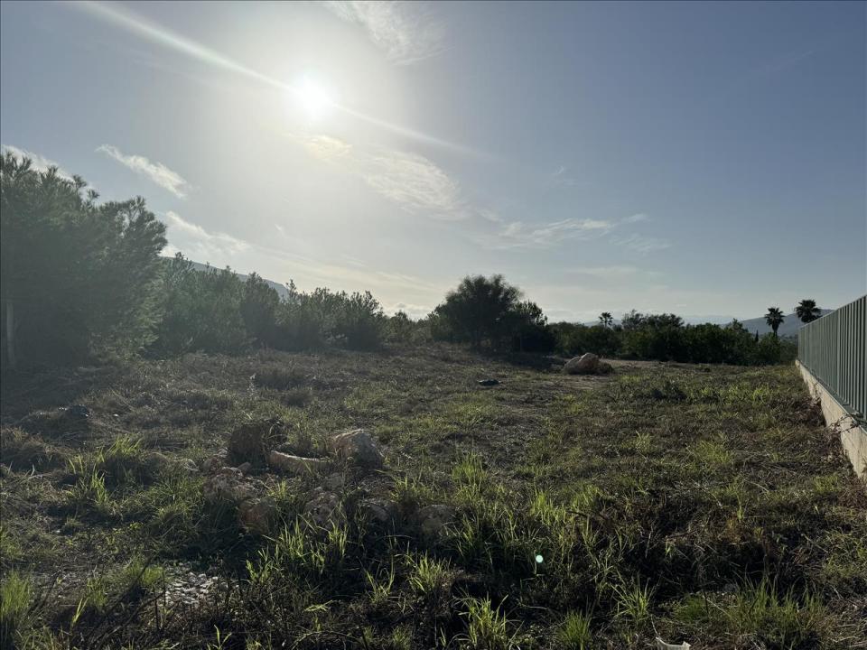 Alacant/Alicante, Comunitat Valenciana 03739, Espanha