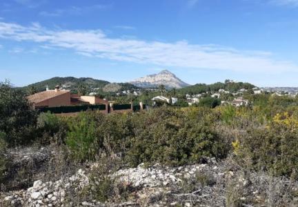 Alacant/Alicante, Comunitat Valenciana 03739, Espanha