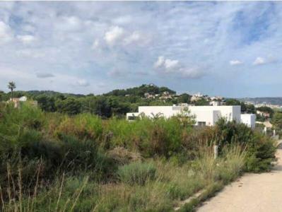 Alacant/Alicante, Comunitat Valenciana 03739, Espanha