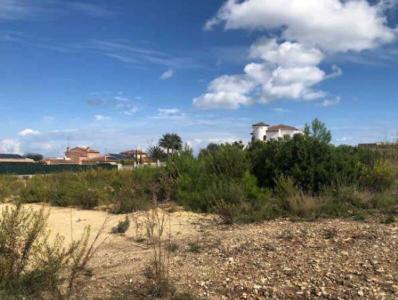 Alacant/Alicante, Comunitat Valenciana 03739, Espanha