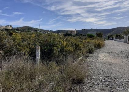 Alacant/Alicante, Comunitat Valenciana 03739, Spain