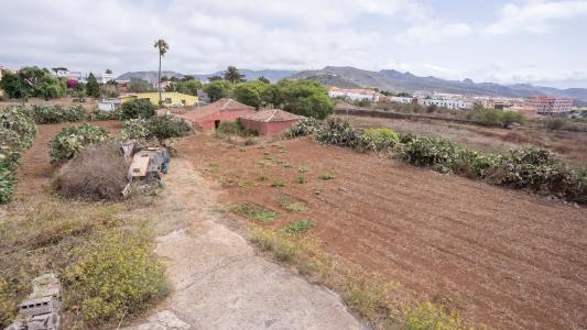 سانتا كروث دي تينيريفه, Canarias 38296, إسبانيا