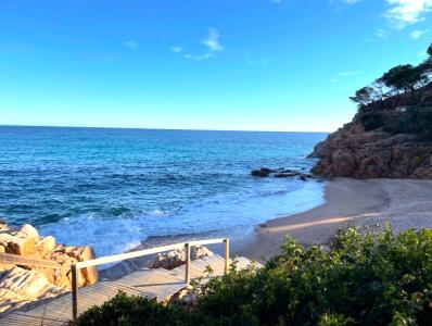 ז'ירונה, Cataluña/Catalunya 17246, ספרד