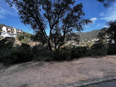 ז'ירונה, Cataluña/Catalunya 17246, ספרד