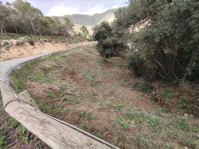 ז'ירונה, Cataluña/Catalunya 17246, ספרד