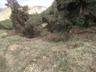 ז'ירונה, Cataluña/Catalunya 17246, ספרד