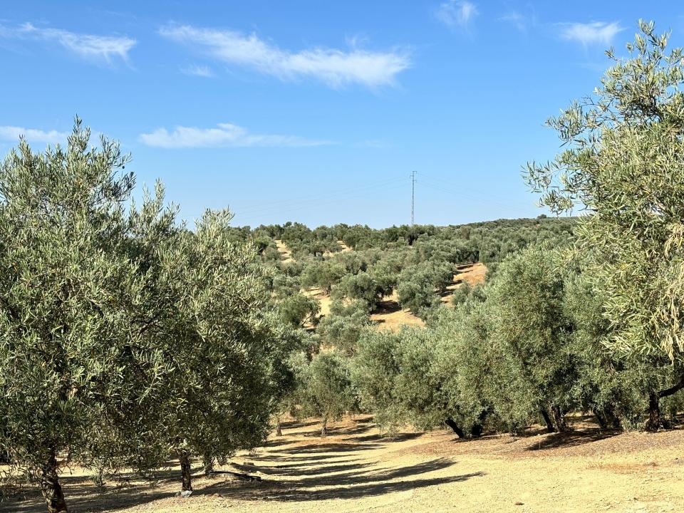 Malaga, Andalucía 29313, Spanien