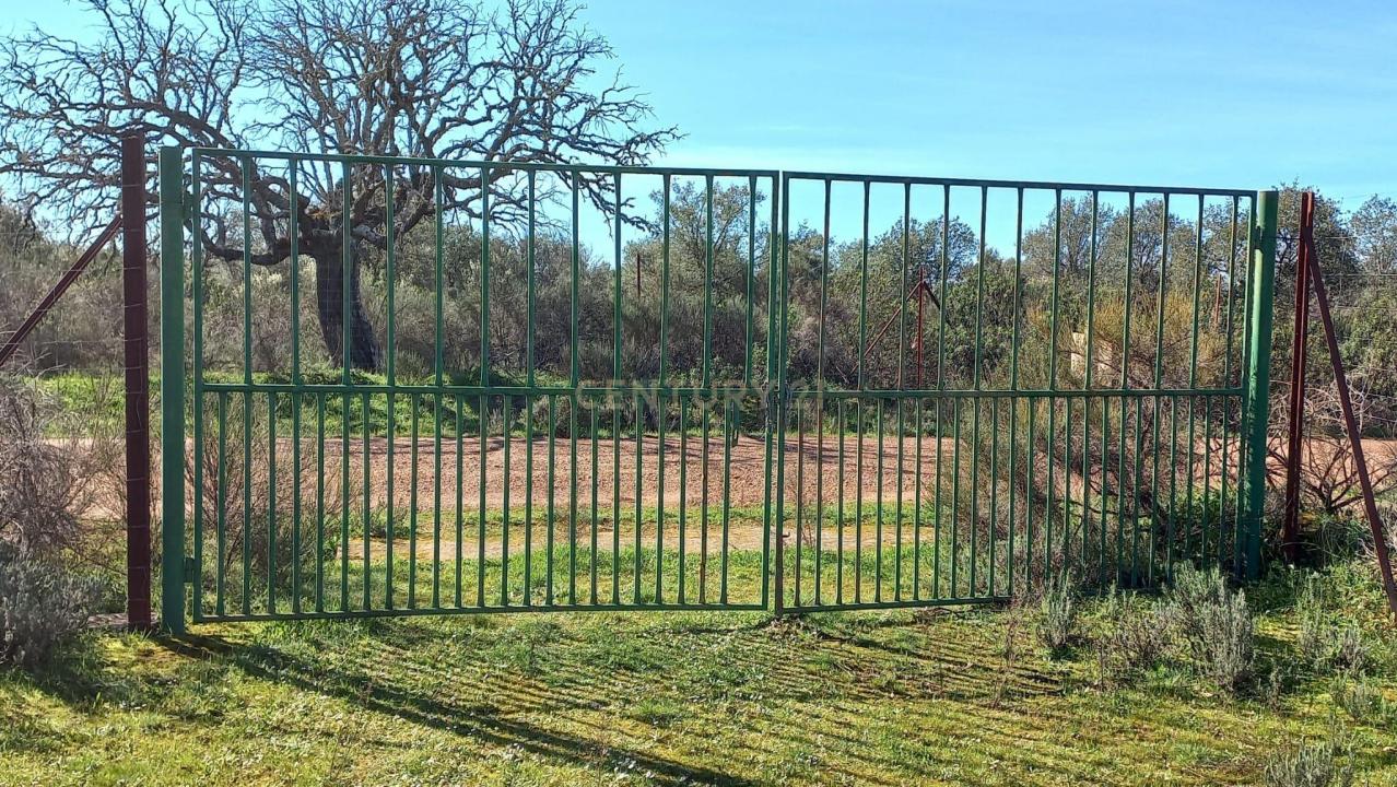 Cáceres, Estrémadure 10380, Espagne