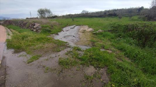 Cáceres, Extremadura 10600, Spain