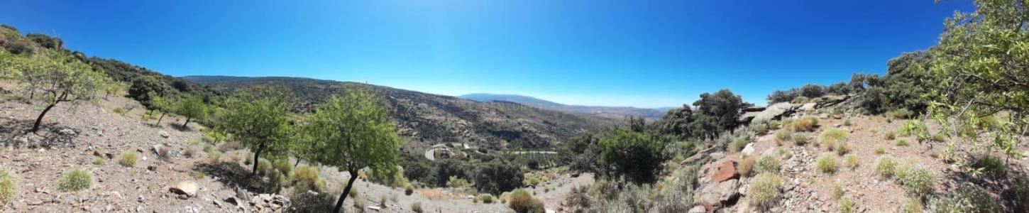 Grenada, Andalucía, Hiszpania