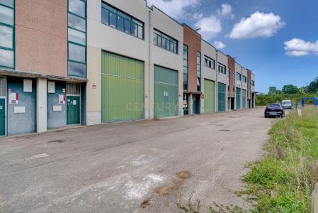 Bizkaia, País Vasco/Euskadi 48100, Spain