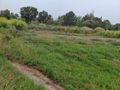 València/Valencia, Comunitat Valenciana 46408, Spain