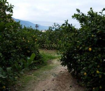 Murcia, Región De Murcia 30570, Spain