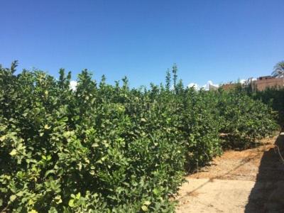 Murcia, Región De Murcia 30570, España