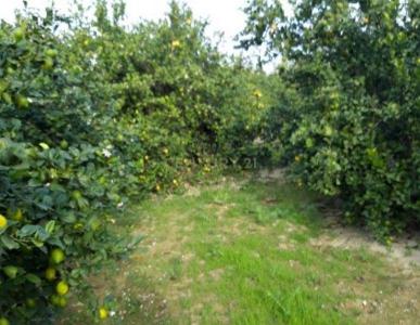 Murcia, Región De Murcia 30570, España