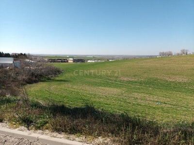 Toledo, Castilla-La Mancha 45211, Spain