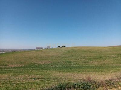 Toledo, Castilla-La Mancha 45211, Spain