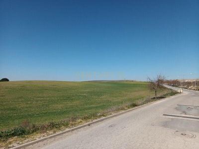 Toledo, Castilla-La Mancha 45211, Spain