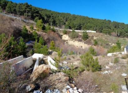 Madrid, Comunidad De Madrid 28200, Spain