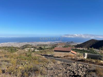 サンタ・クルス・デ・テネリフェ, Canarias 38600, スペイン