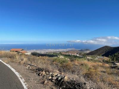 サンタ・クルス・デ・テネリフェ, Canarias 38600, スペイン