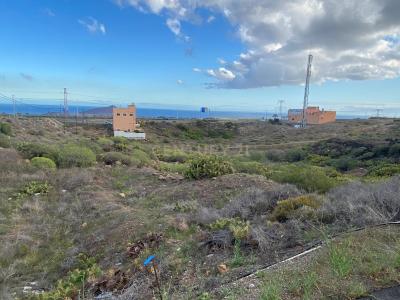 サンタ・クルス・デ・テネリフェ, Canarias 38611, スペイン