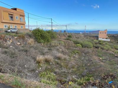 圣克鲁斯-德特内里费, Canarias 38611, 西班牙