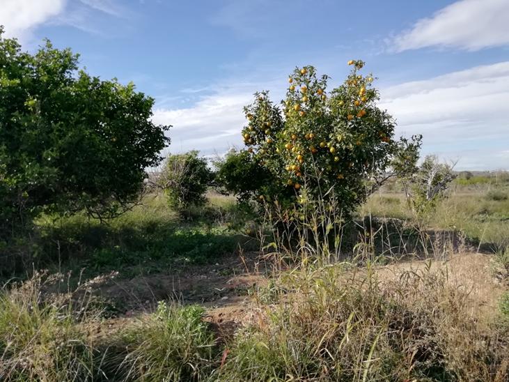 Murcie, Región De Murcia 30832, Espagne