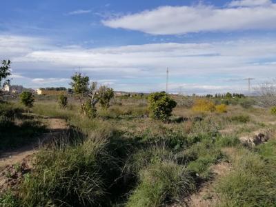 Murcie, Región De Murcia 30832, Espagne
