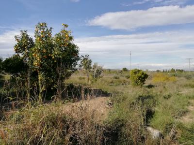 Murcie, Región De Murcia 30832, Espagne